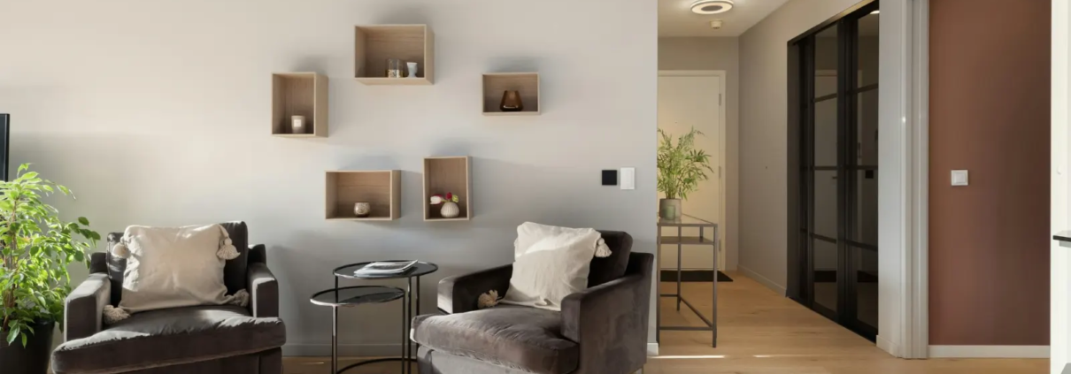 Espace d'accueil du cabinet d'hypnothérapie à Genève : deux fauteuils gris, une table basse et des étagères en bois